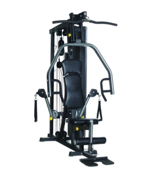 Мультистанция Horizon Home Gym Torus 3