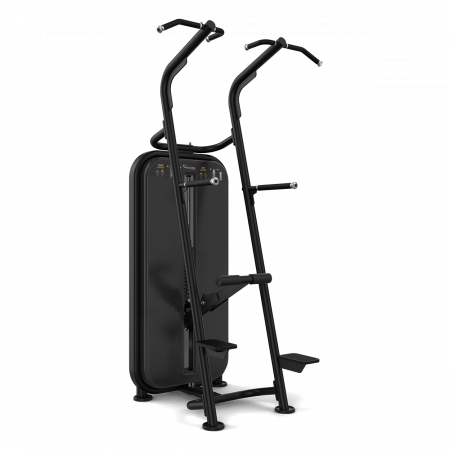 Подтягивания и отжимания Vision Fitness VST600-S601